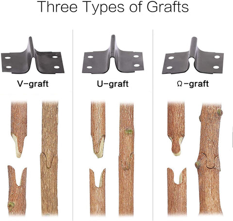 Buy Wilson Orchard & Vineyard Supply Grafting Wax Online at  desertcartEcuador